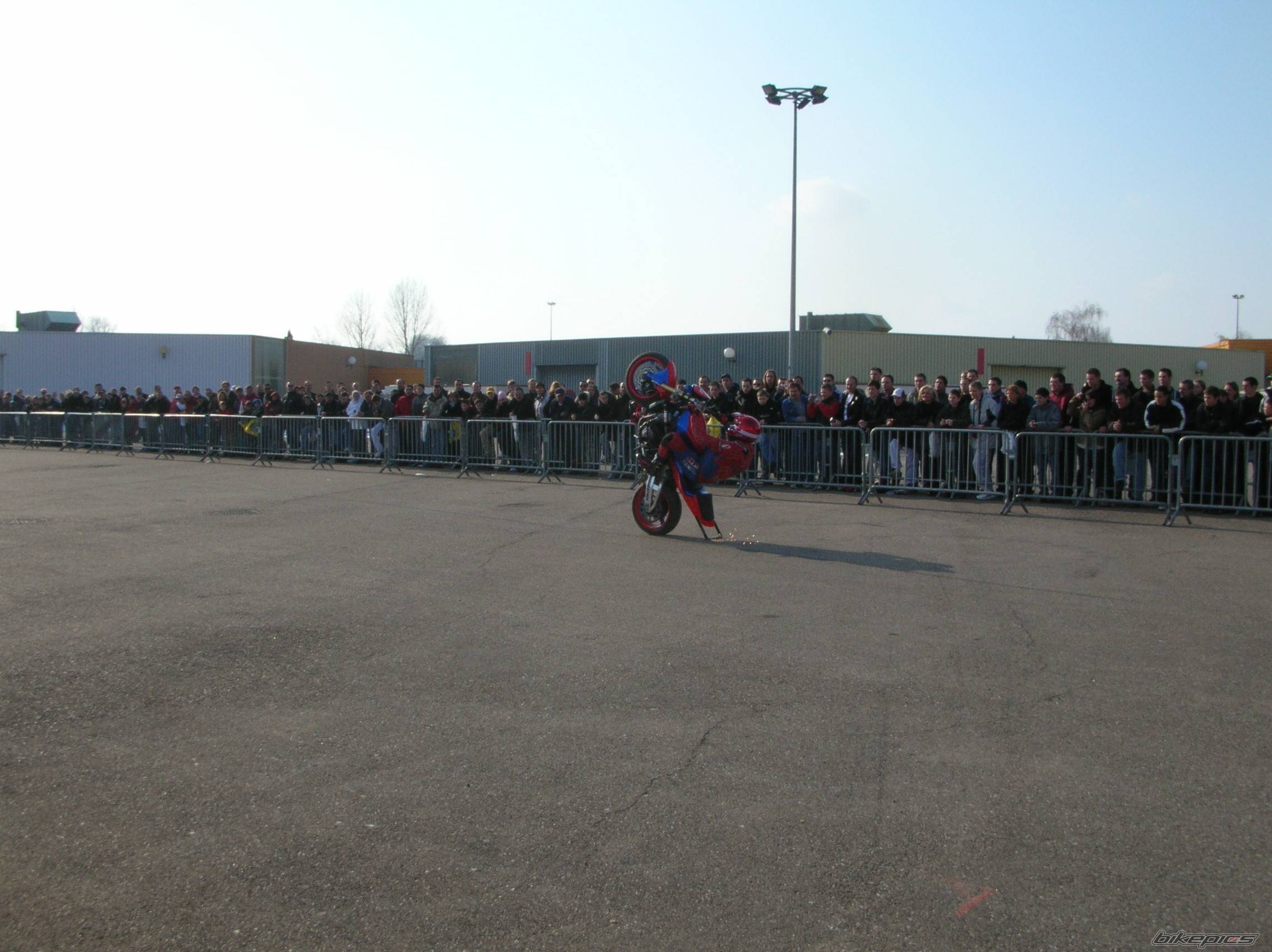 Photo 299009