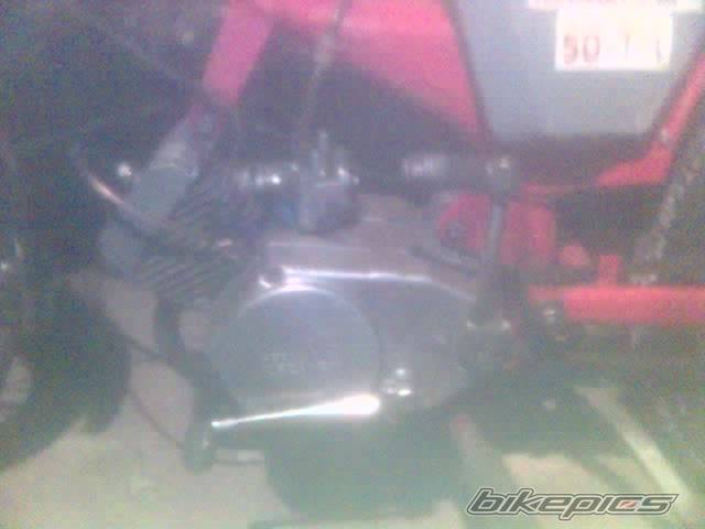 Photo 299959