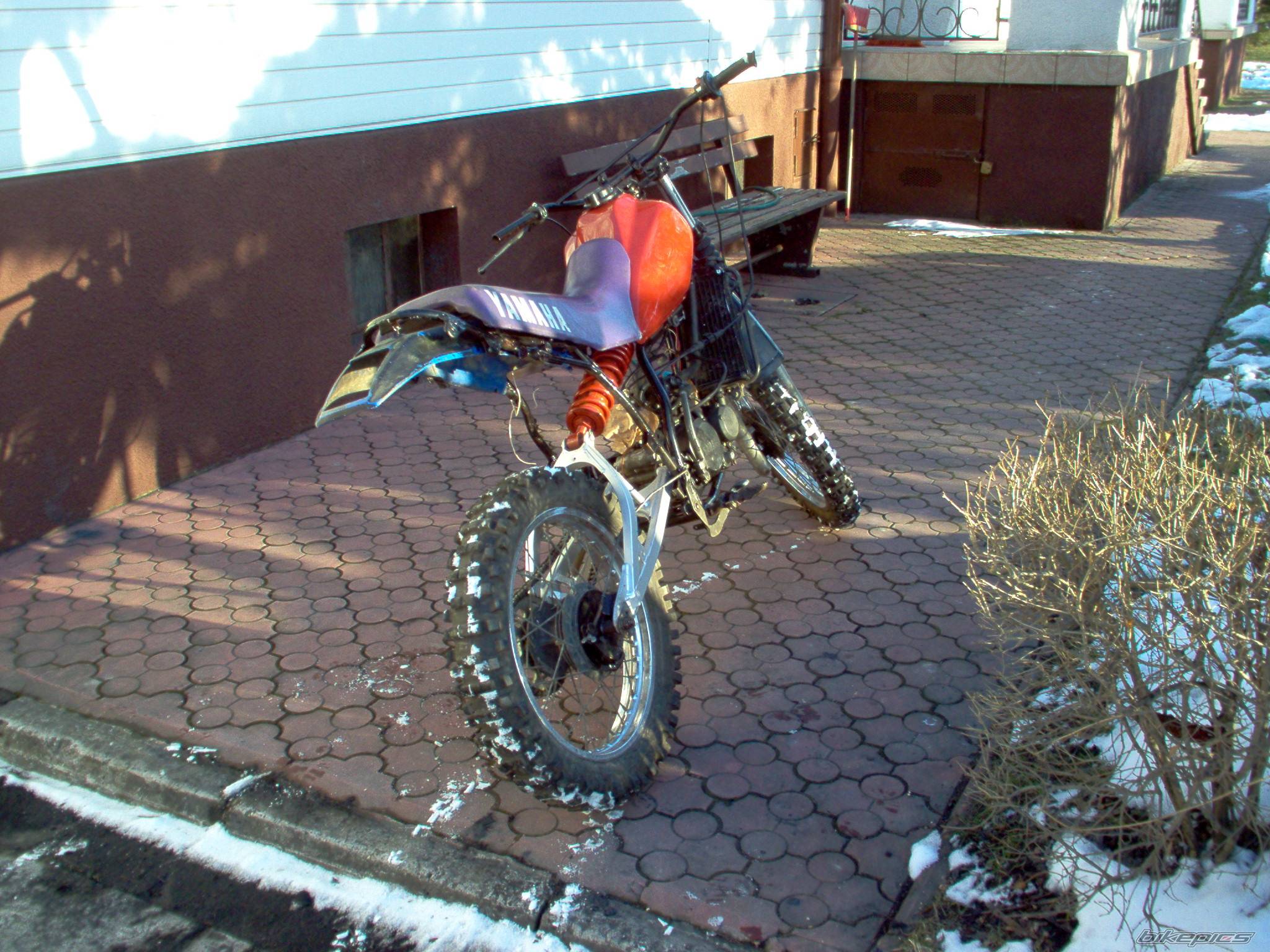 Photo 301870