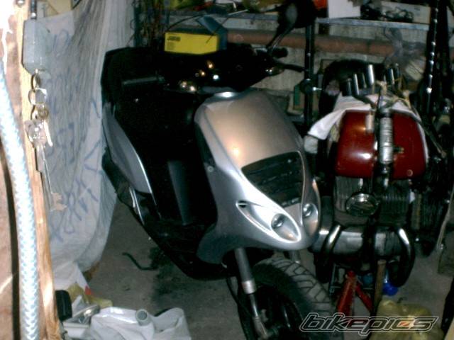 Photo 304808