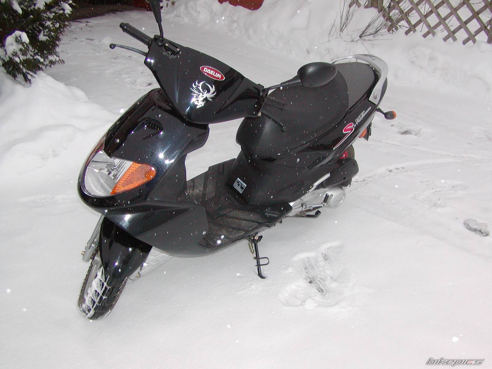 Bike Photo 305310