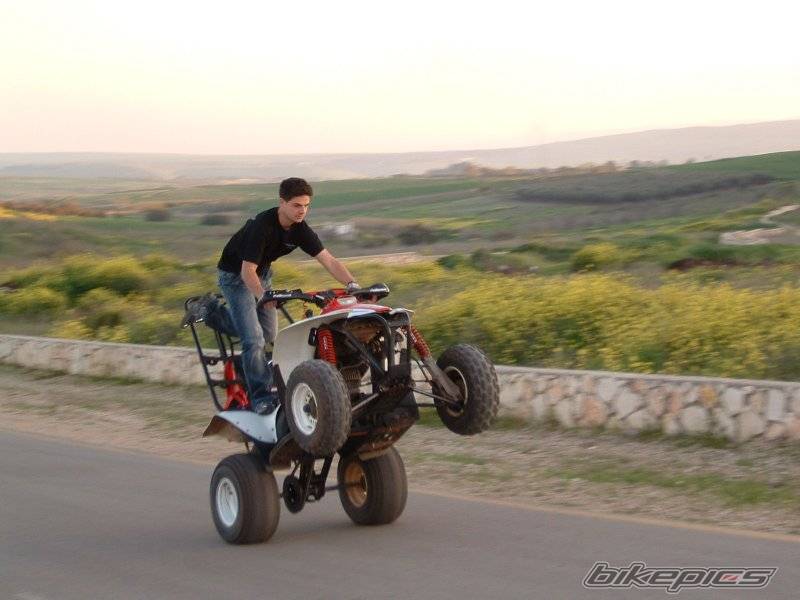 Bike Photo 309316