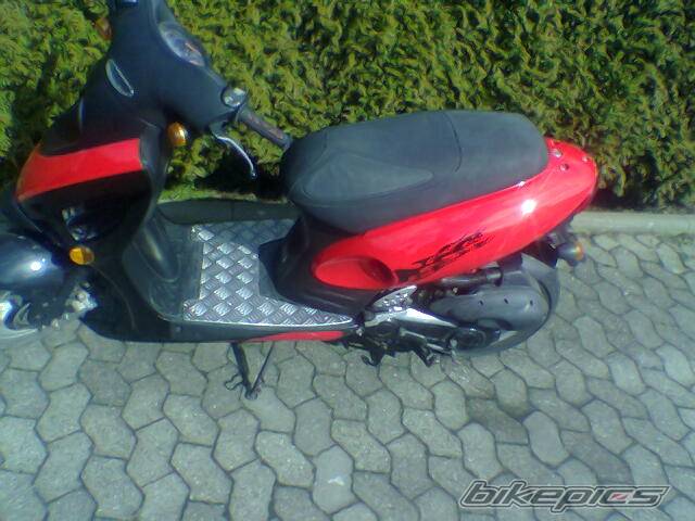 Photo 309686