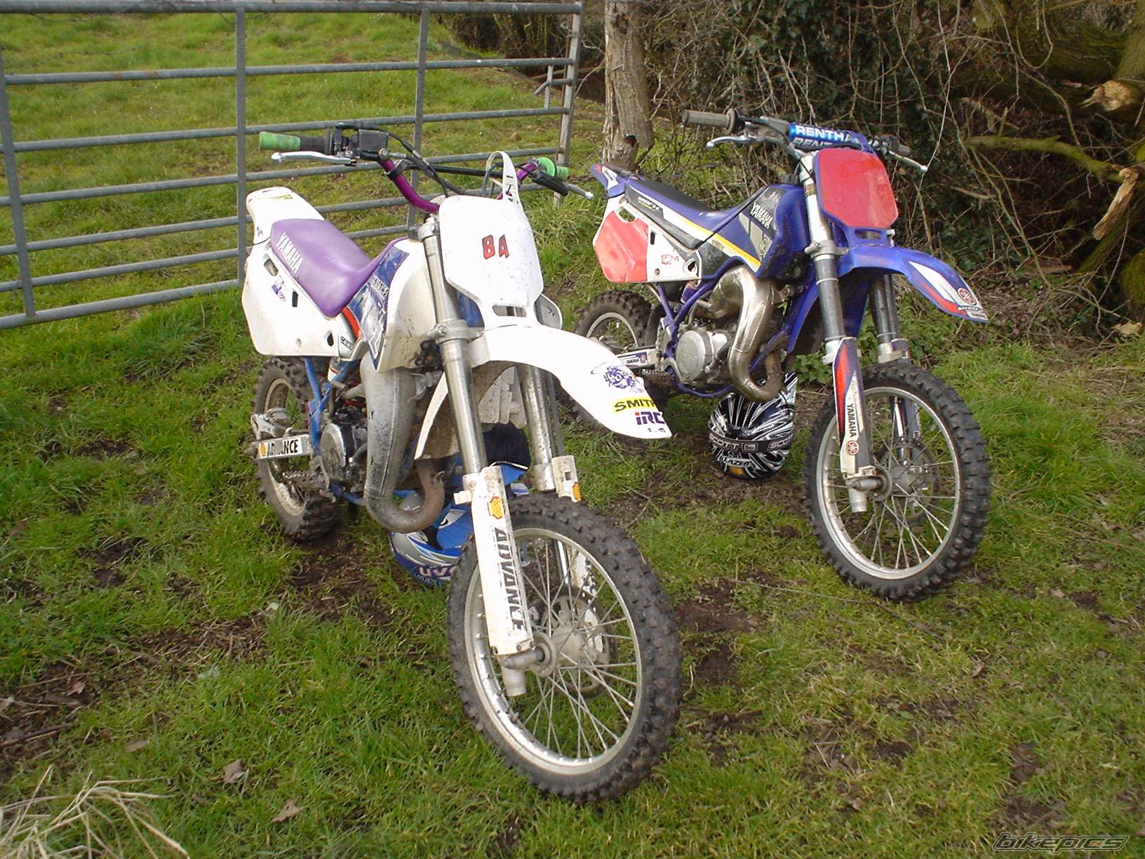 Photo 309701