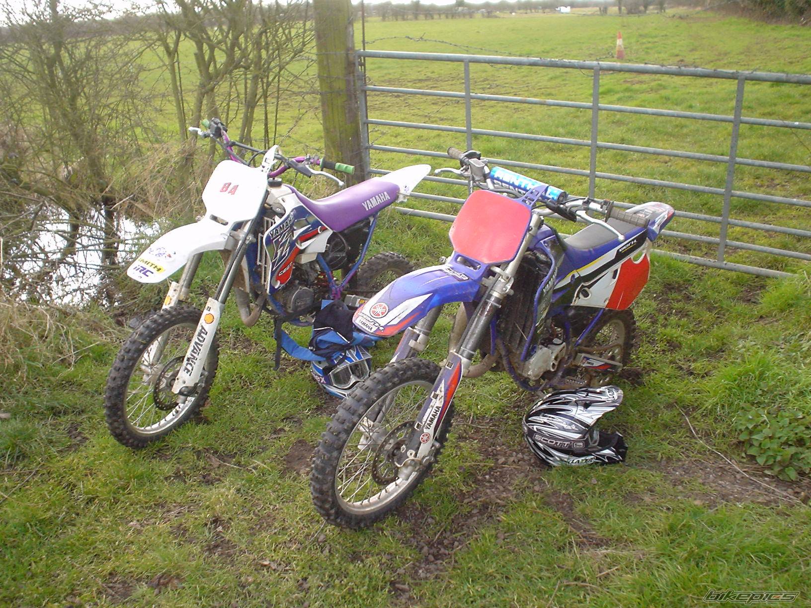 Photo 309702