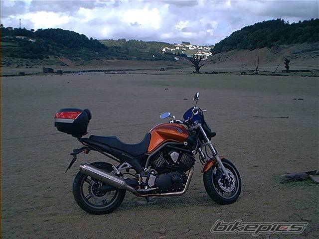 Photo 311986