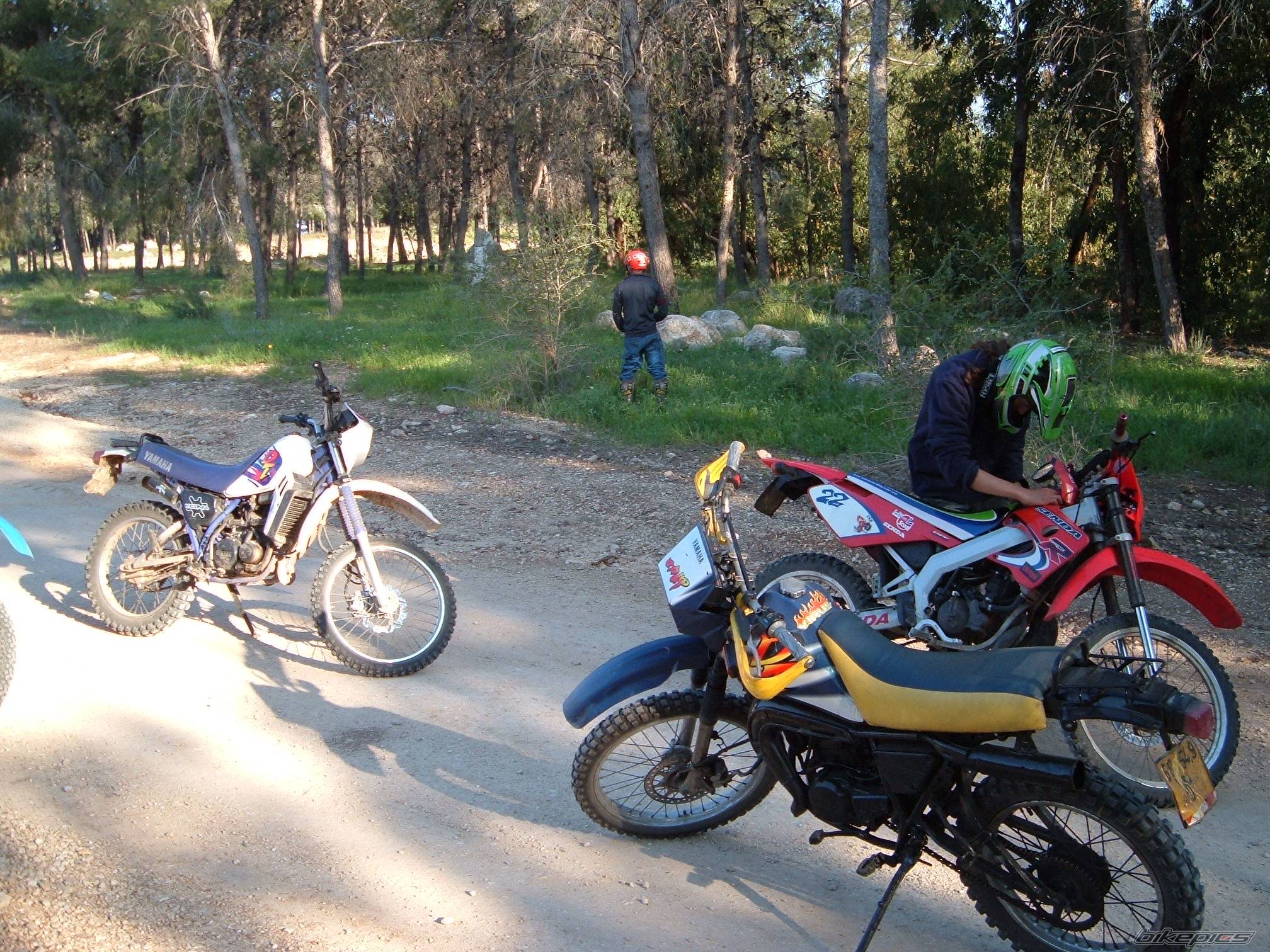 Bike Photo 312166