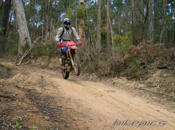 Bike Photo 312375