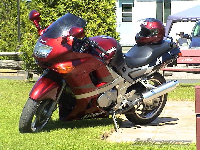 Photo 313510