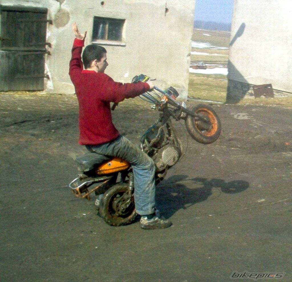 Photo 318667