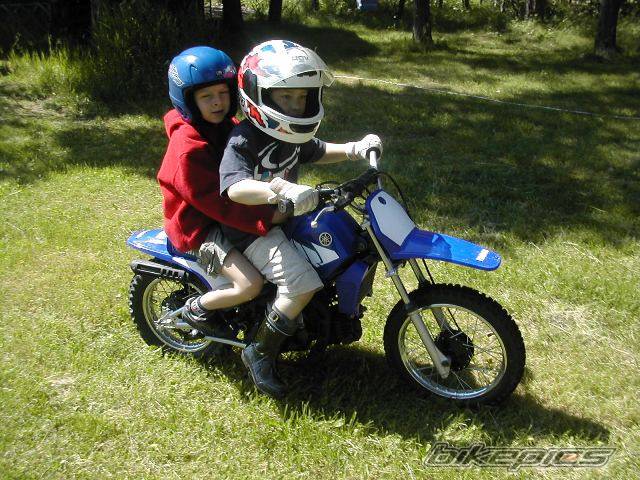 Photo 318765