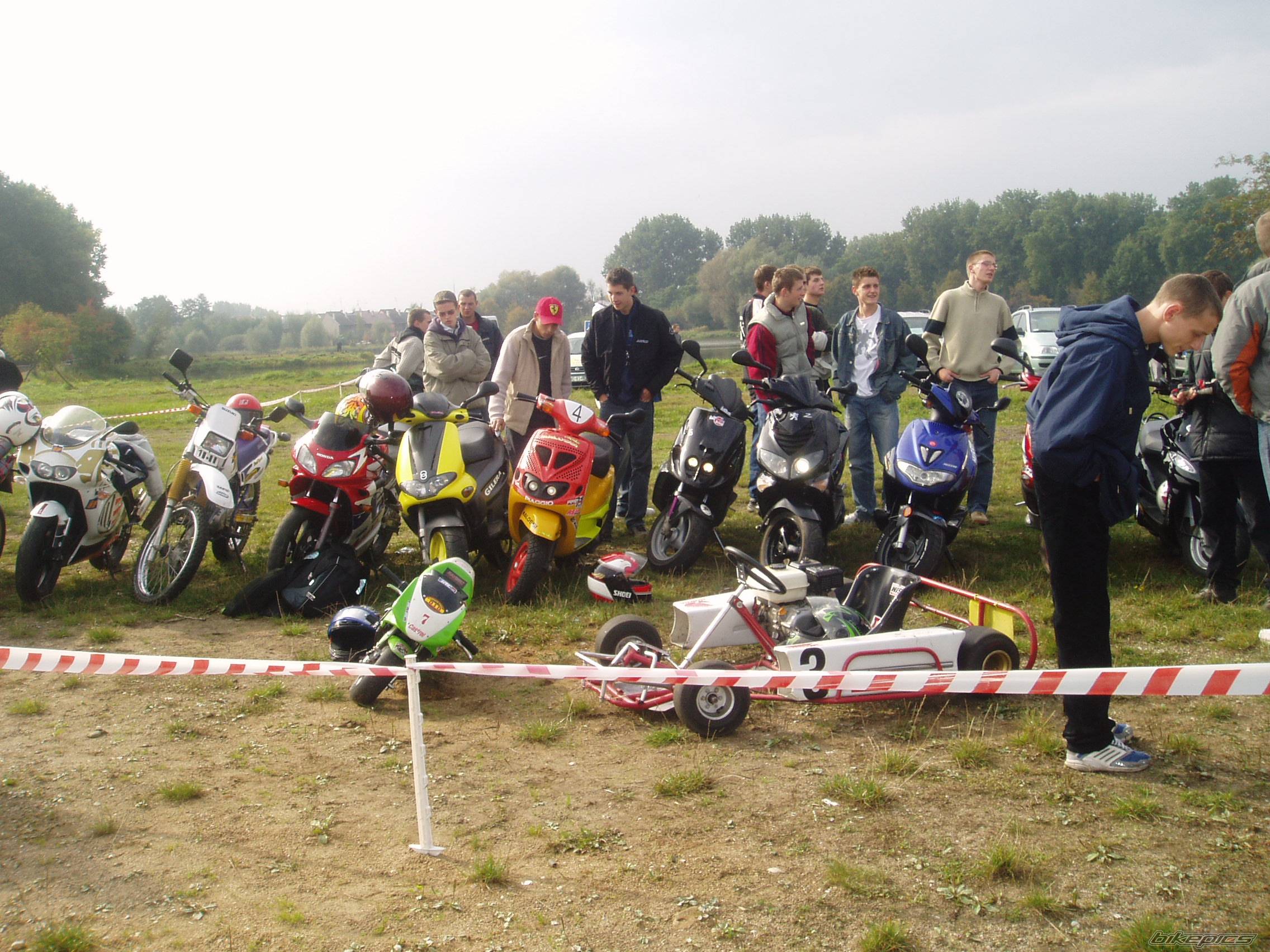 Photo 319256