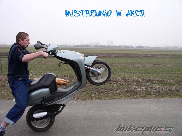 Bike Photo 319679