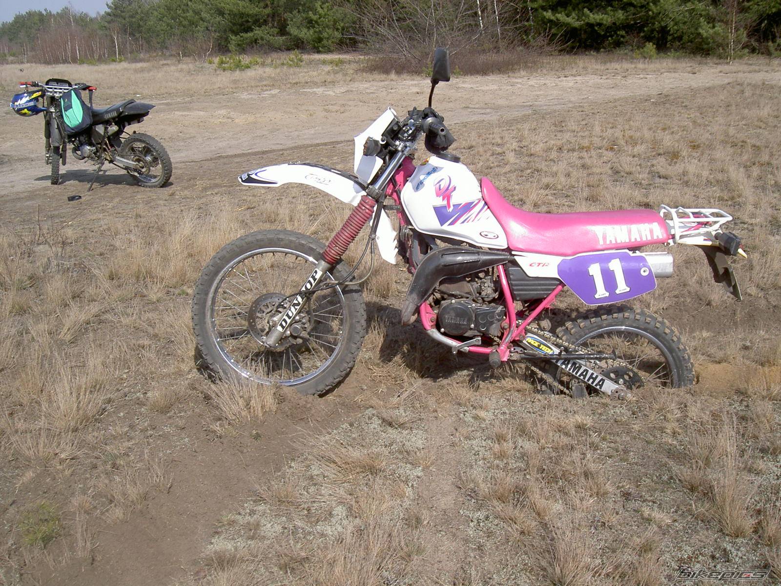 Bike Photo 323510