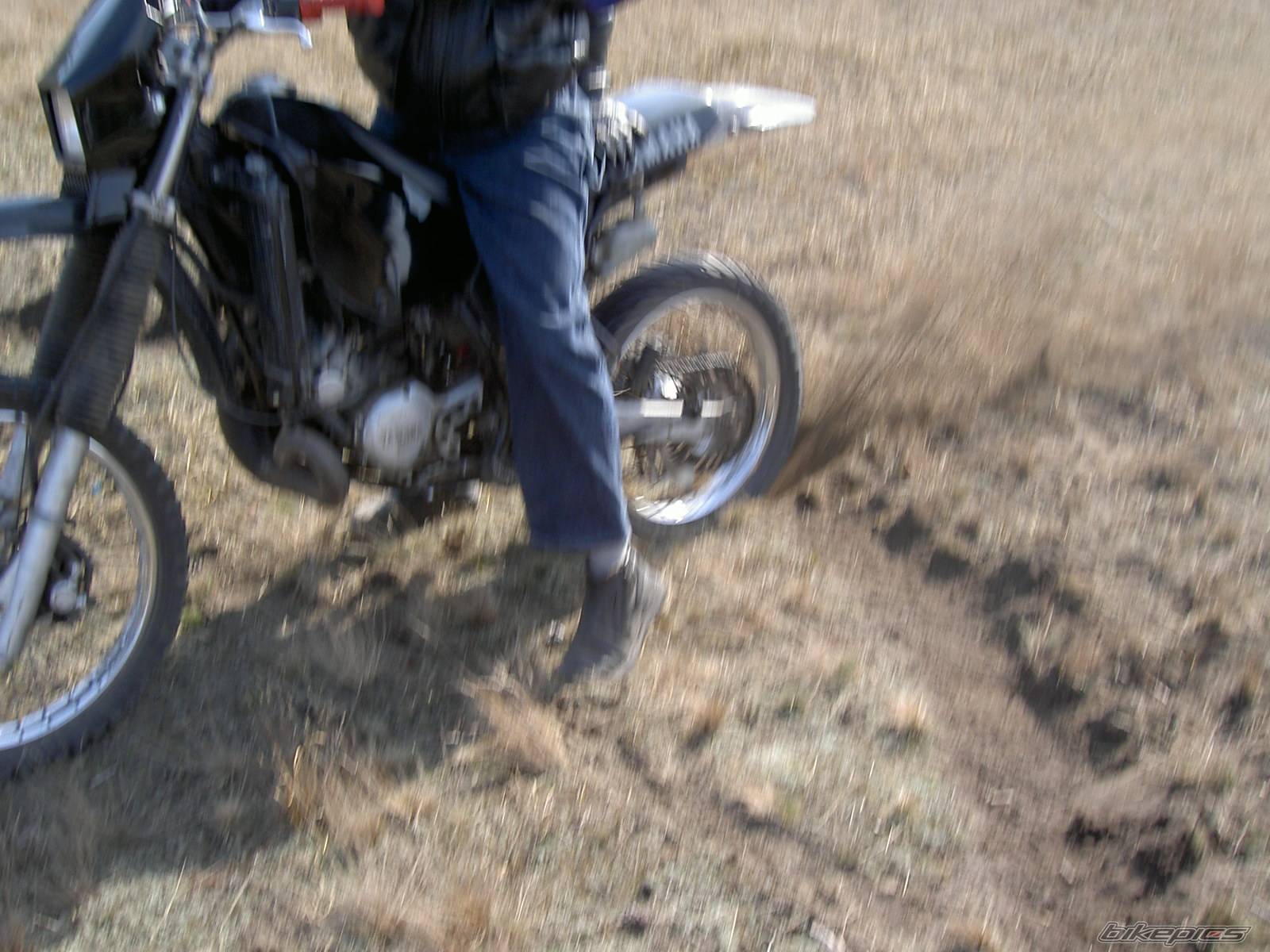 Bike Photo 323516