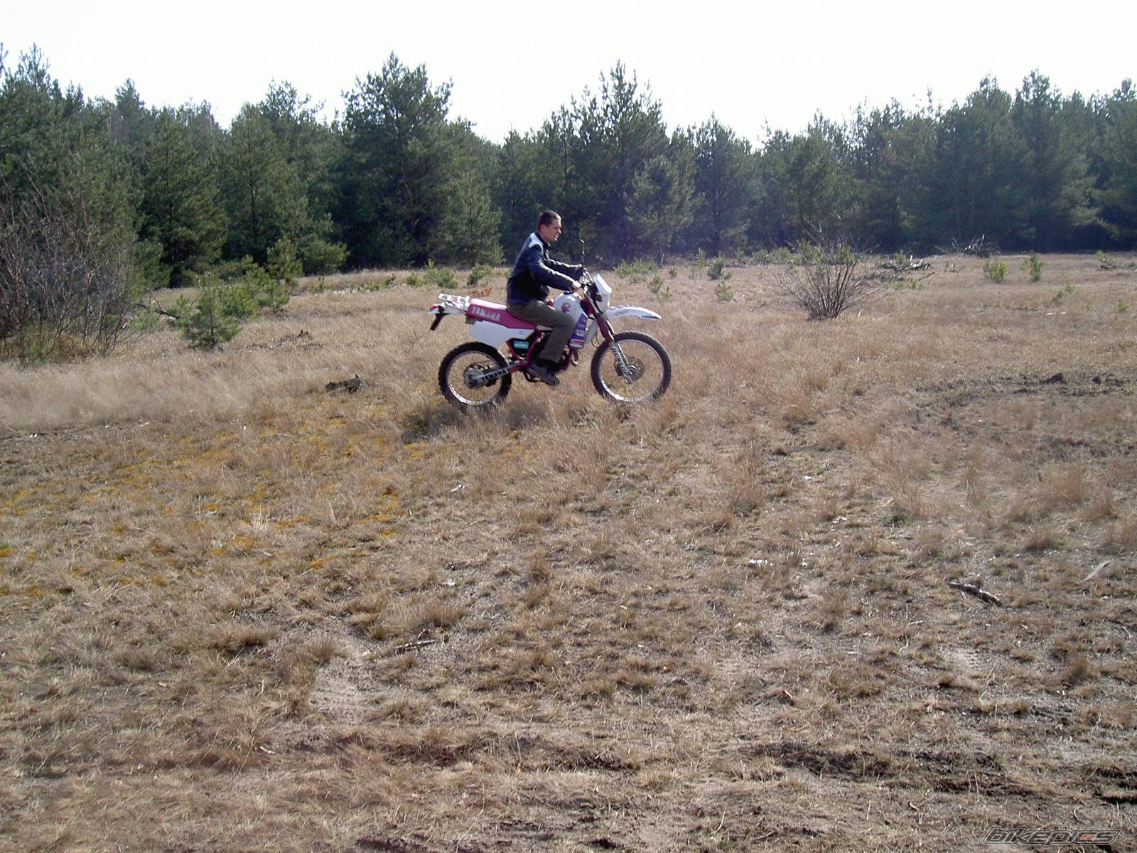 Bike Photo 323519