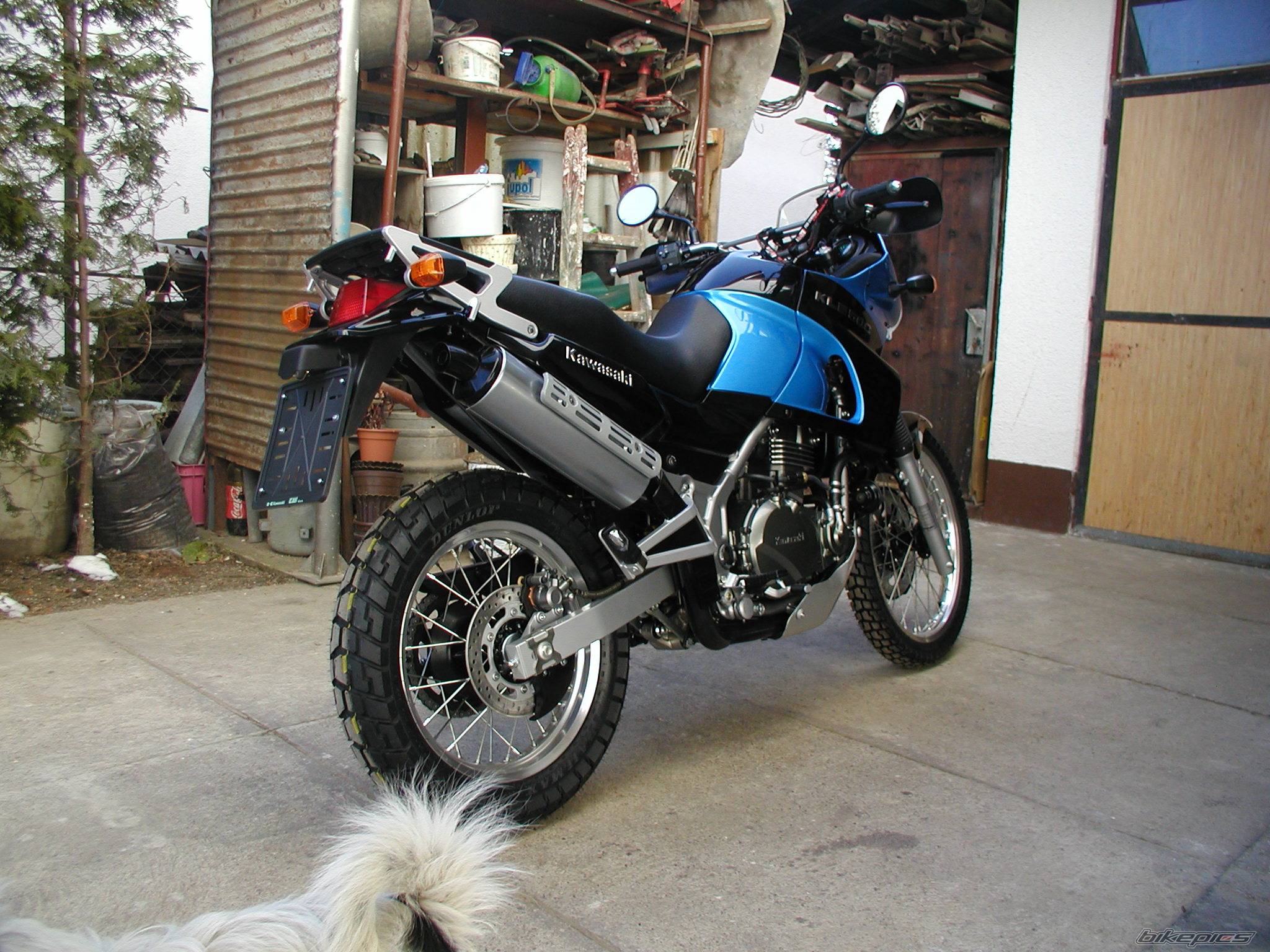 Photo 325139