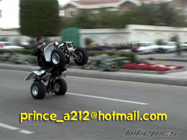 Photo 325591