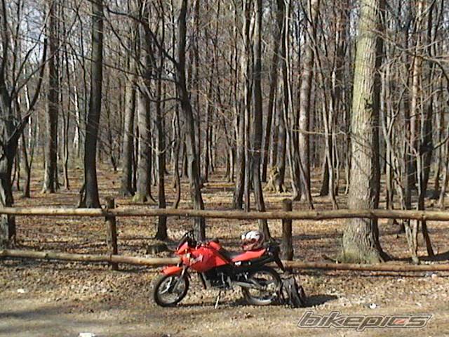 Photo 326173