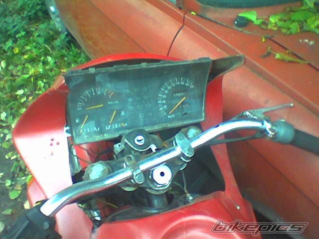 Photo 327369