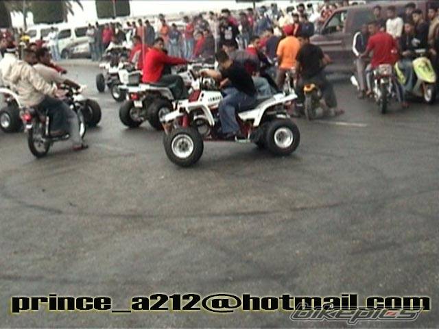 Photo 331674