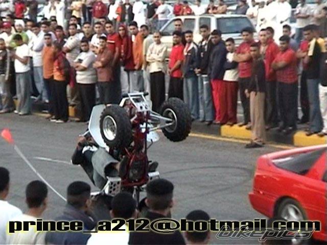 Photo 331685