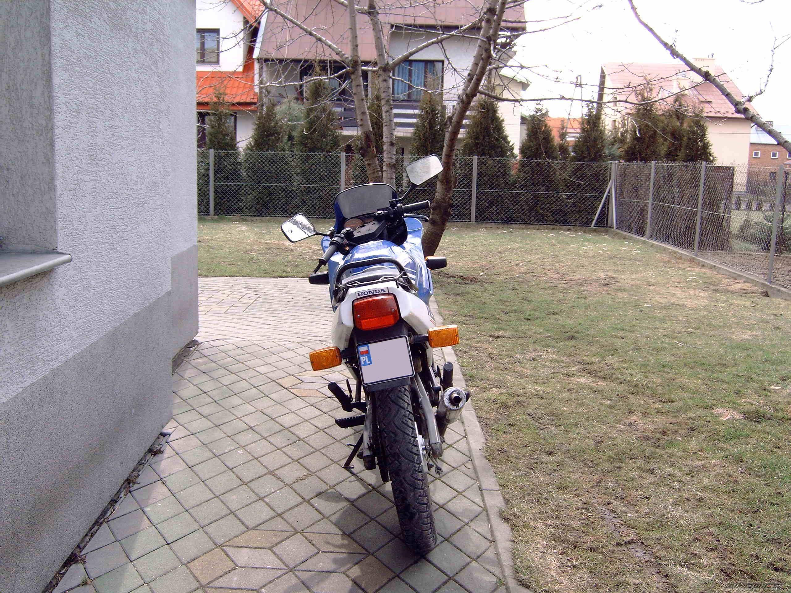 Photo 333744