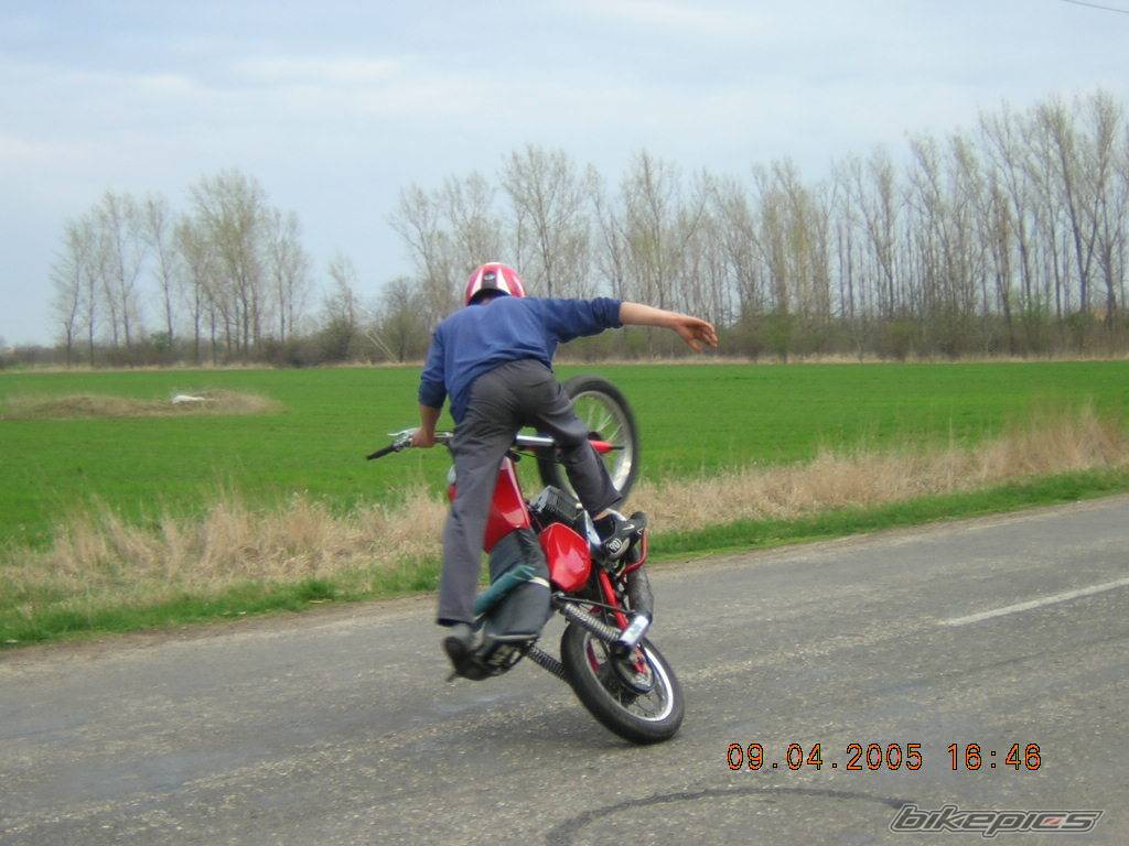 Photo 334621