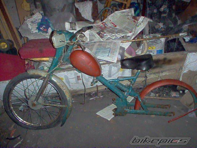 Photo 335836