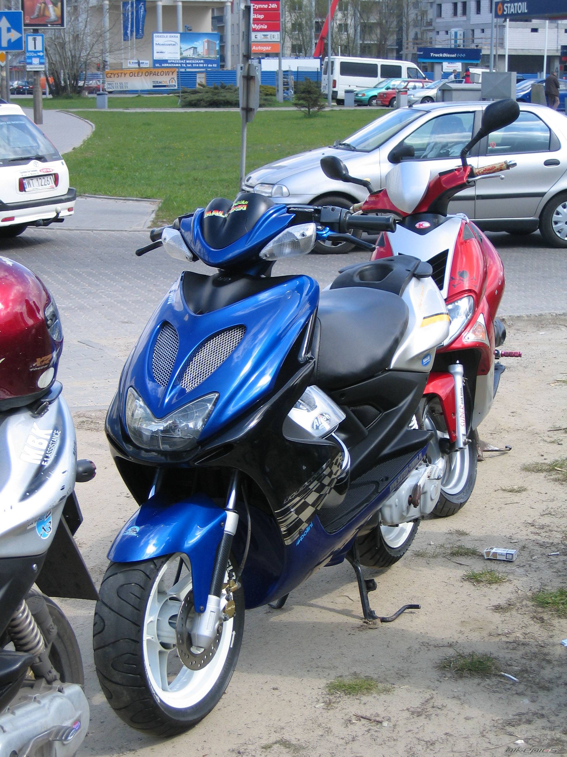 Photo 338960