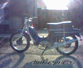 Photo 339537