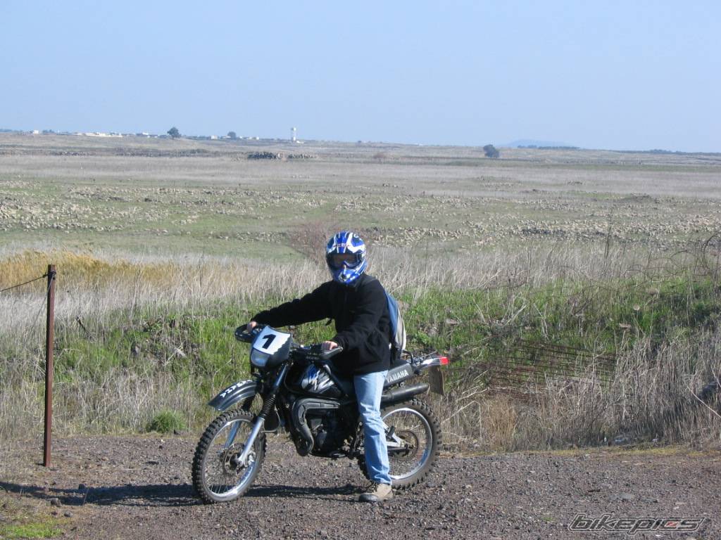 Bike Photo 339546