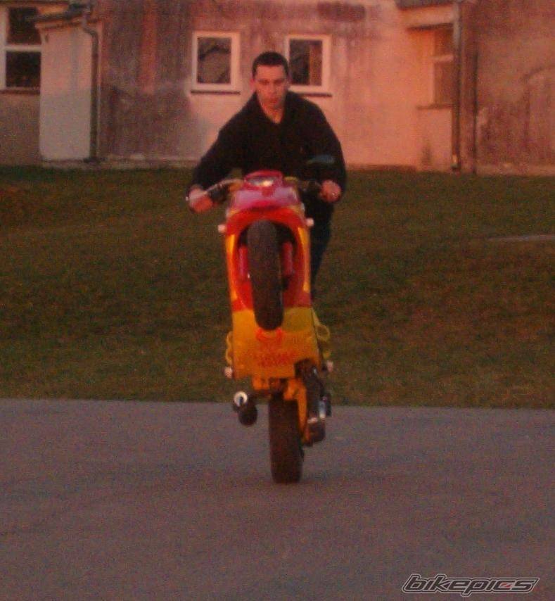 Bike Photo 341003