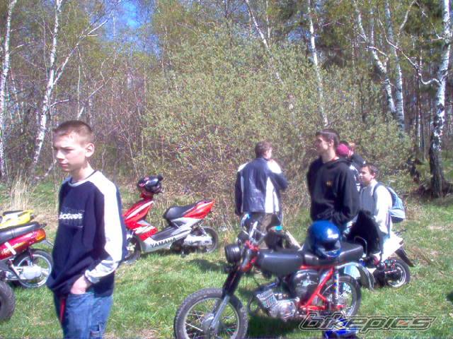Photo 342207