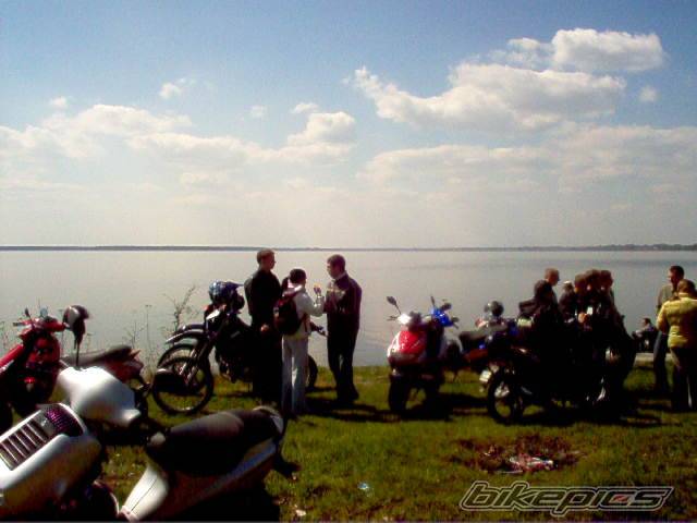 Photo 342219