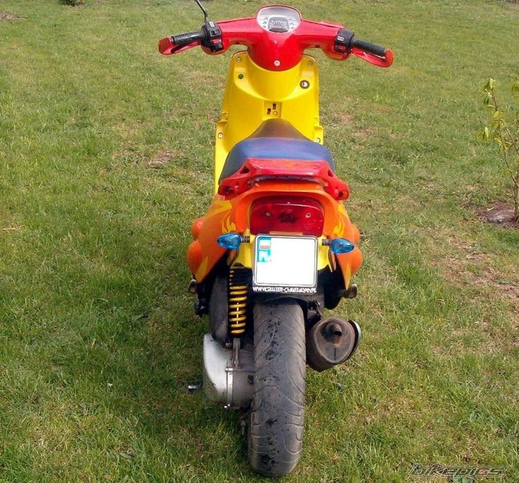 Photo 342454