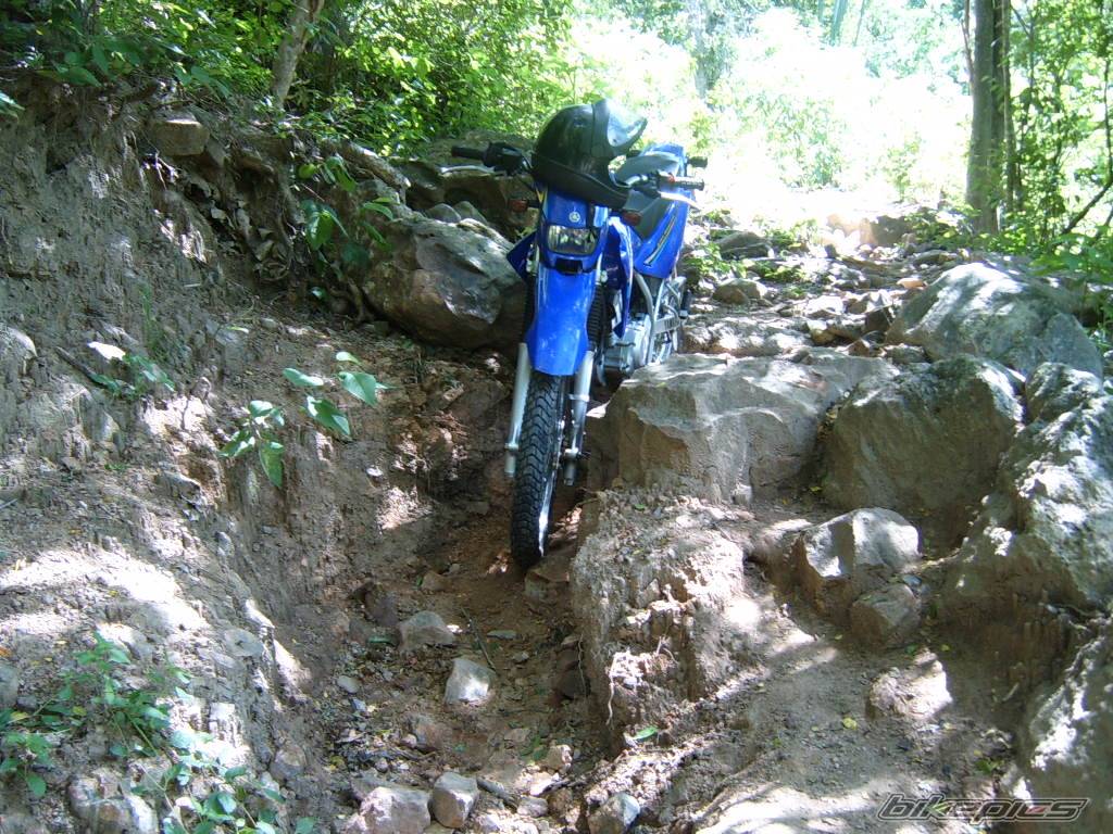 Bike Photo 344602