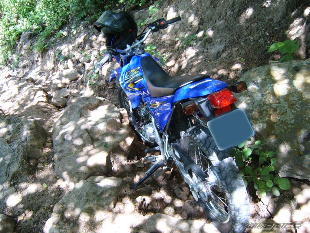 Bike Photo 344628