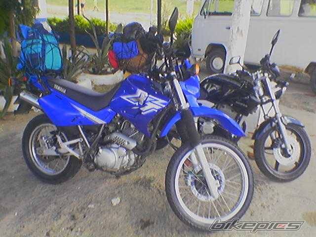 Photo 346421