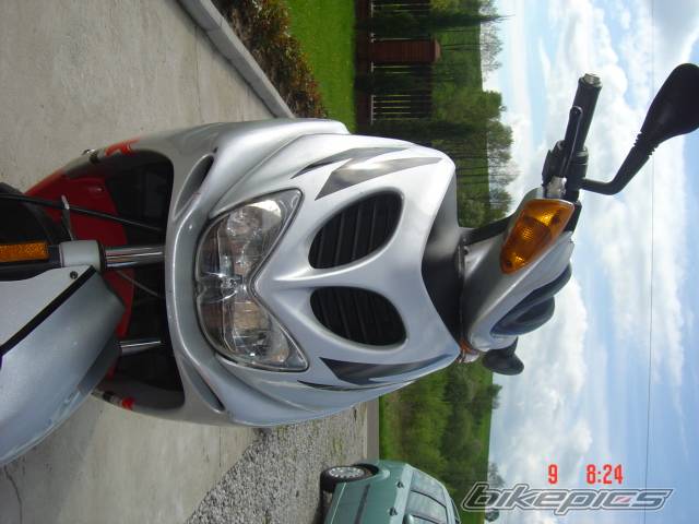 Photo 349903