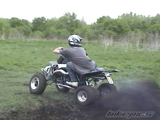 Photo 354699