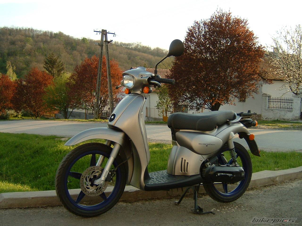 Photo 355869