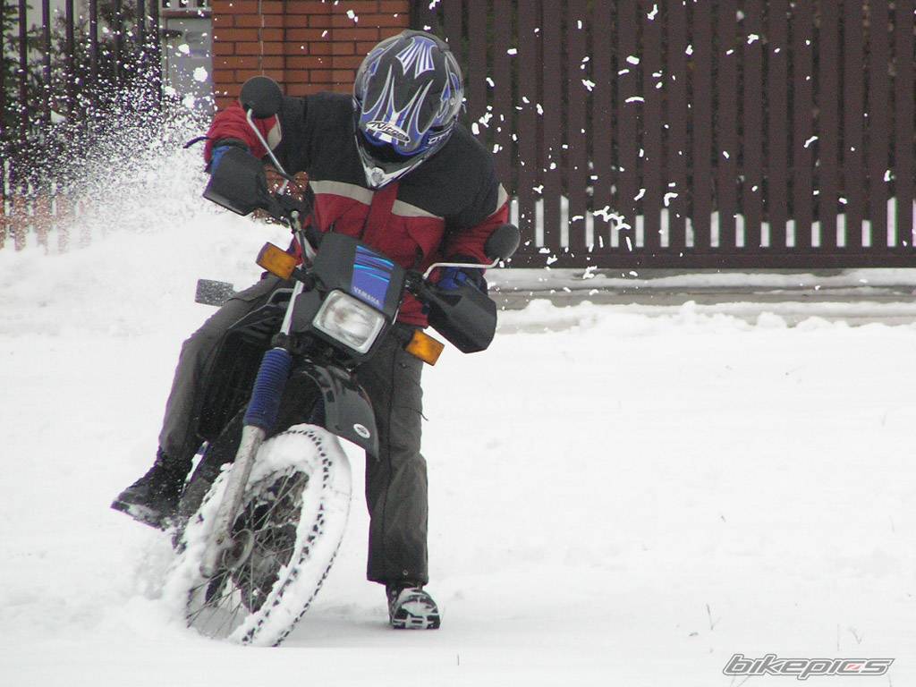 Photo 356653