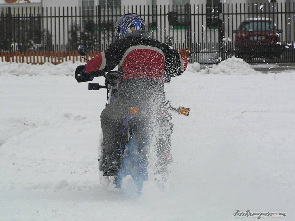 Photo 356654