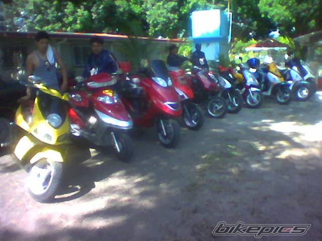 Photo 357711