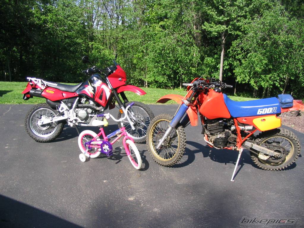 Photo 362804