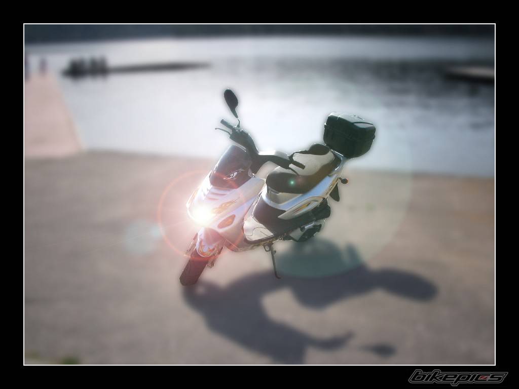 Photo 365773