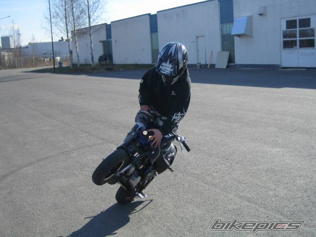 Photo 367569