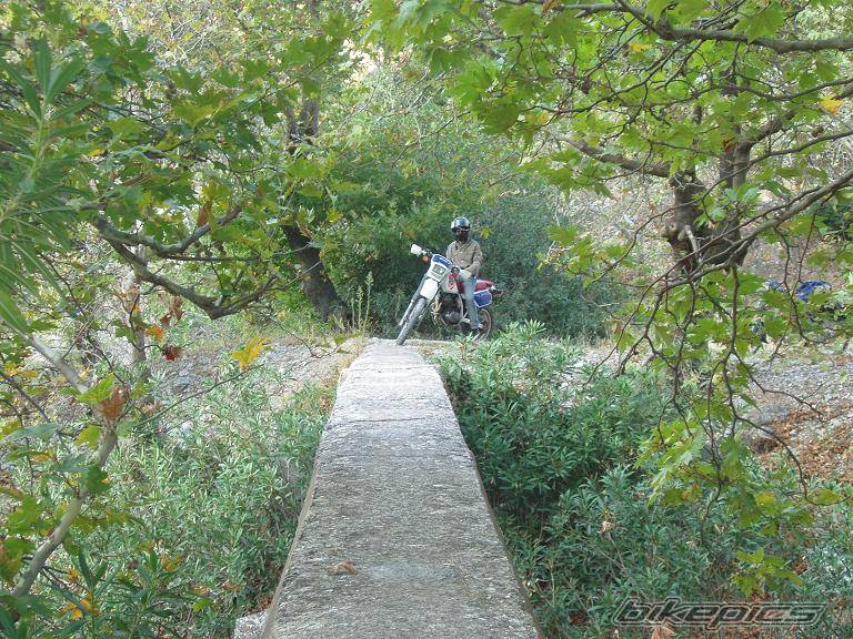 Bike Photo 370699