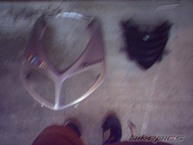 Photo 370994
